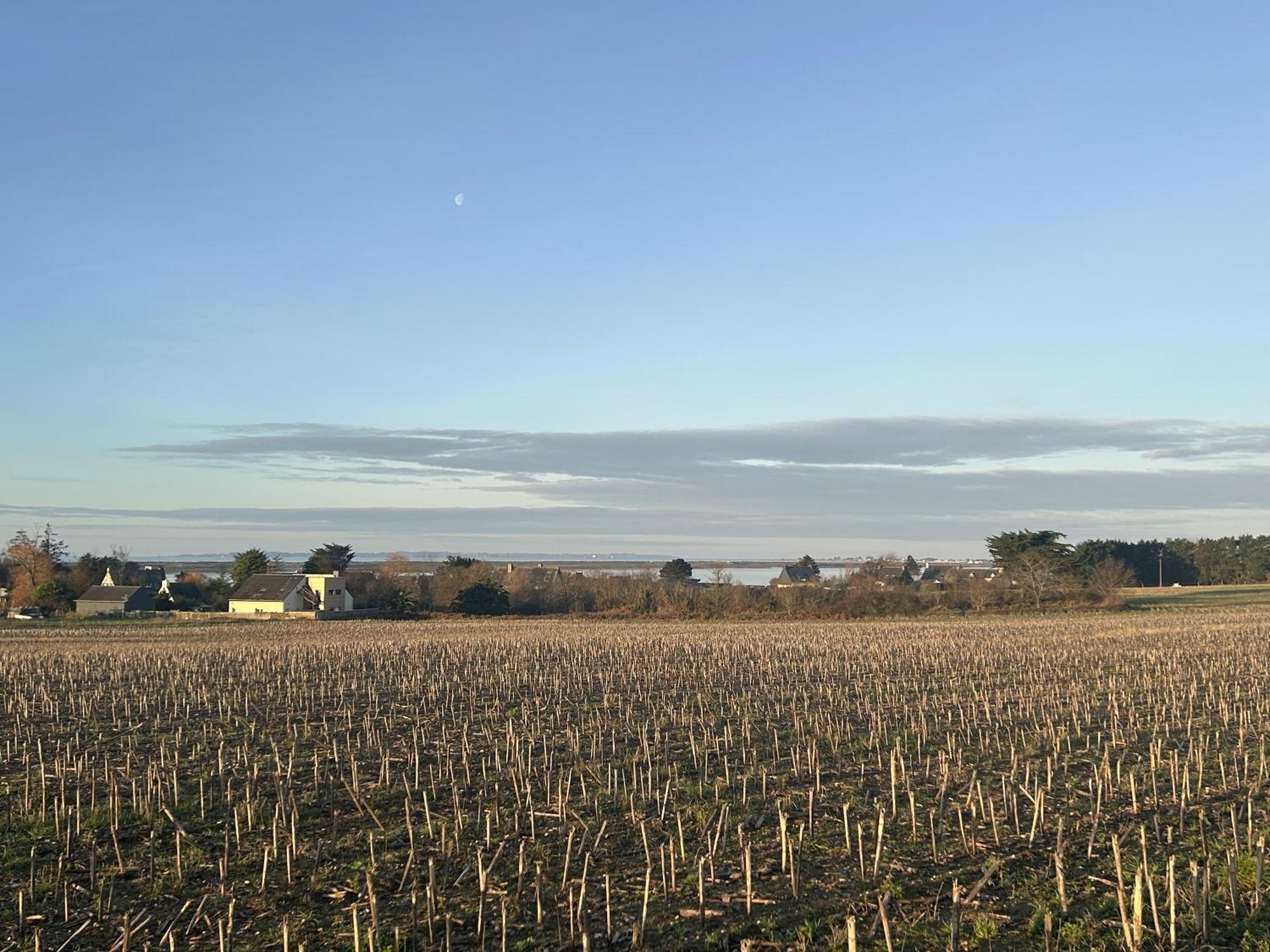 Petit Duplex Proche Mer Plouhinec  Bagian luar foto
